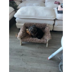 Поповдигнато плюшено диванче за котки с дървени крачета