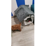 Къщичка легло за малки кучета и котки Къщичка легло за малки кучета и котки