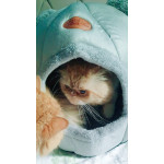 Комфортна зимна хралупка за котка или малко куче изключително уютна и мека, къщичка в заоблена форма с пухкава подплата от вътре