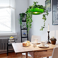 Уникален полилей саксия абажур в който отглеждате цветя, лампа за вашият дом, заведение, кабинет в страхотен еко стил
