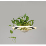 Лед лампа с купа за живо растение уникално осветление за кухня, офис, всекидневна, кабинет, зелена еко тема с любимото ви цвете ще расте директно от полюлея