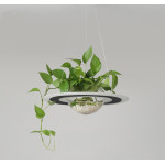 Лед лампа с купа за живо растение уникално осветление за кухня, офис, всекидневна, кабинет, зелена еко тема с любимото ви цвете ще расте директно от полюлея