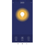 Енергоспестяваща WI-FI смарт крушка, свързвате към приложение и контролирате силата на светлина в проценти от 1% до 100% от телефон или с гласови команди чрез Алекса