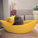 Плюшена хралупа, меко и топло легло за котка или малко куче с формата на банан в   три различни размера