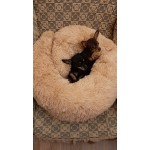 Меко пухено гнездо легло за куче или котка, много удобно за малки и големи животни, изклзчително уютно и топло, различни рамзери и цветове