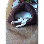 Мека и уютна хралупка, зимна къщичка за котка или малко куче, пухкава и много топла за зимните месеци, легло възглавничка за домшаен любимец с избор от 5 цвята