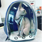 Раница чанта за пренасяне и разходка на котка или куче с прозрачна капсула за наблюдение и отвори за въздух 