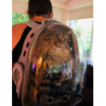 Раница чанта за пренасяне и разходка на котка или куче с прозрачна капсула за наблюдение и отвори за въздух 